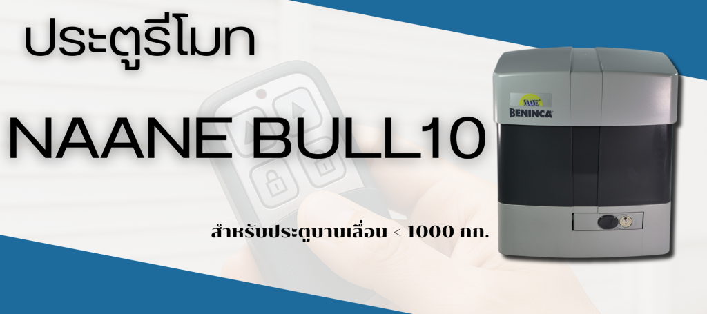 Naane bull 10